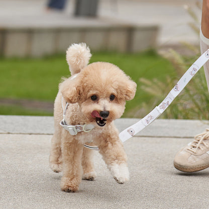 韓國新品上架【梨花娘】🐾BAILEY 🐶秋冬新品 馬卡龍柔軟色系小熊圖案寵物牽繩(3色)