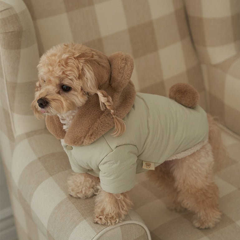 新品上架【梨花娘】🐾BAILEY 🐶秋冬新品 小熊連帽毛球防潑水鋪棉寵物外套(2色) 聖誕禮物