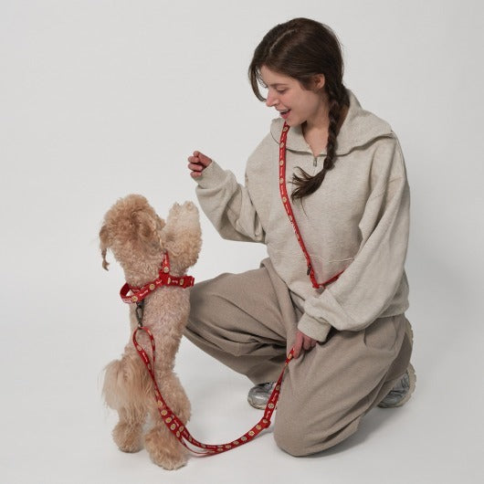 韓國新品上架【梨花娘】🐾BAILEY 🐶 微笑花朵可愛小熊高機能解放雙手寵物牽引繩(7色)