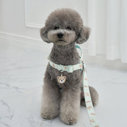 韓國新品上架【梨花娘】🐾BAILEY 🐶秋冬新品 馬卡龍柔軟色系小熊圖案寵物牽繩(3色)