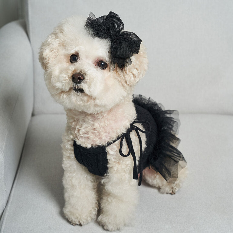 韓國新品上架【梨花娘】🐾BAILEY 🐶秋冬新品 針織拼接蕾絲氣質優雅花朵芭蕾舞裙寵物服飾(2色)