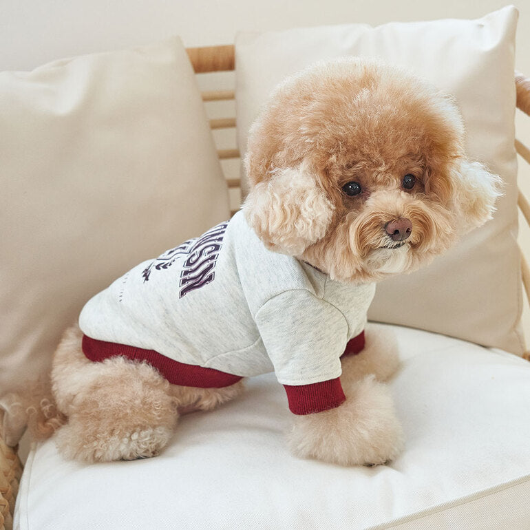 韓國新品上架【梨花娘】🐾BAILEY 🐶秋冬新品 韓系潮流聯名休閒棉質寵物服飾(3色)