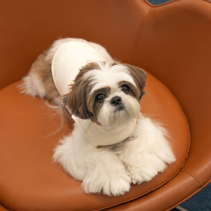 韓國新品上架【梨花娘】🐾BAILEY 🐶秋冬新品 柔軟菌菌拜拜內襯防潑水高領設計保暖寵物服飾(3色)