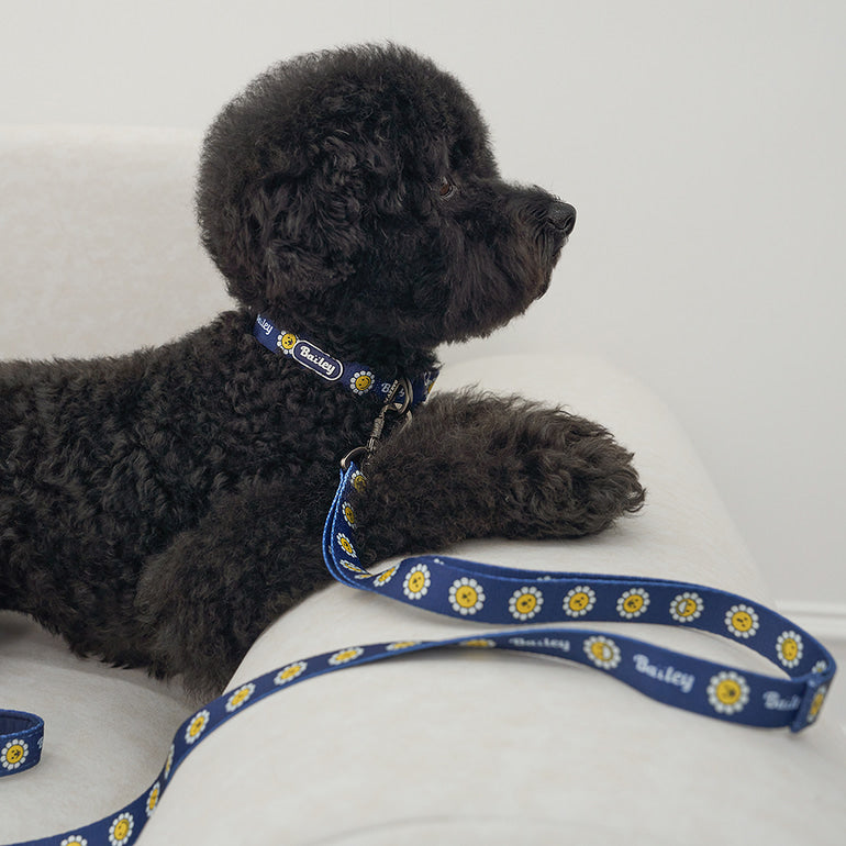 韓國新品上架【梨花娘】🐾BAILEY 🐶秋冬新品 飽合亮色花朵微笑寵物牽繩(4色)