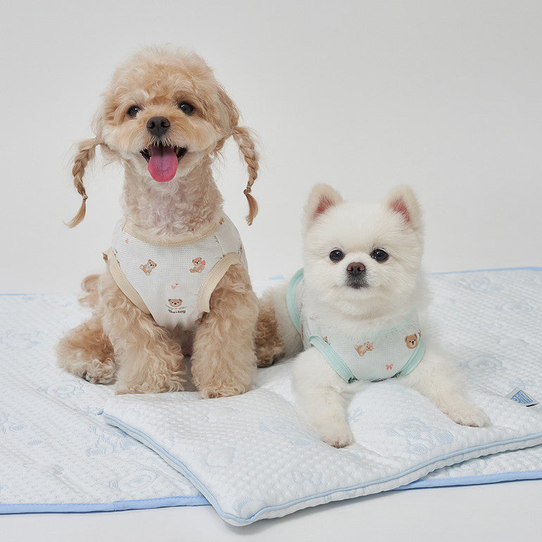 💕【梨花娘總代理】🐾韓國BAILEY ❄️夏日寵物極致降溫冰涼雪花泰迪熊圖案附冰涼袋收納墊(4色)