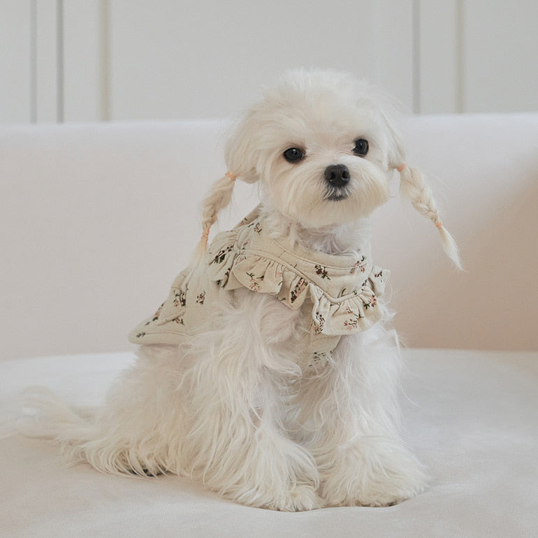 韓國新品上架【梨花娘】🐾BAILEY 🐶秋冬新品 親膚保暖純棉荷葉邊復古小碎花寵物服飾(2色)