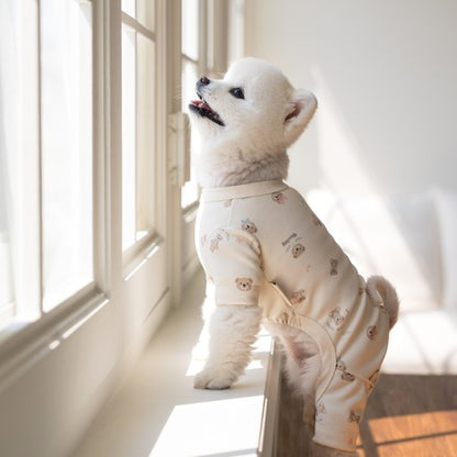 韓國新品上架【梨花娘】🐾BAILEY 🐶秋冬新品 滿版小熊圖案舒適寵物連身衣(3色)