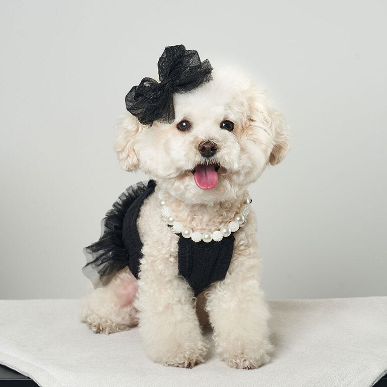 韓國新品上架【梨花娘】🐾BAILEY 🐶秋冬新品 針織拼接蕾絲氣質優雅花朵芭蕾舞裙寵物服飾(2色)