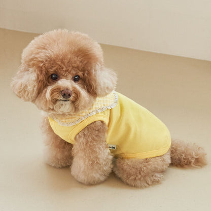 韓國新品上架【梨花娘】🐾BAILEY 🐶秋冬新品 韓系溫小公主格子領蕾絲邊刺繡寵物服飾(3色)