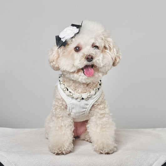 韓國新品上架【梨花娘】🐾BAILEY 🐶秋冬新品 山茶花刺繡方形領口粗花編織保暖針織寵物服飾(2色)