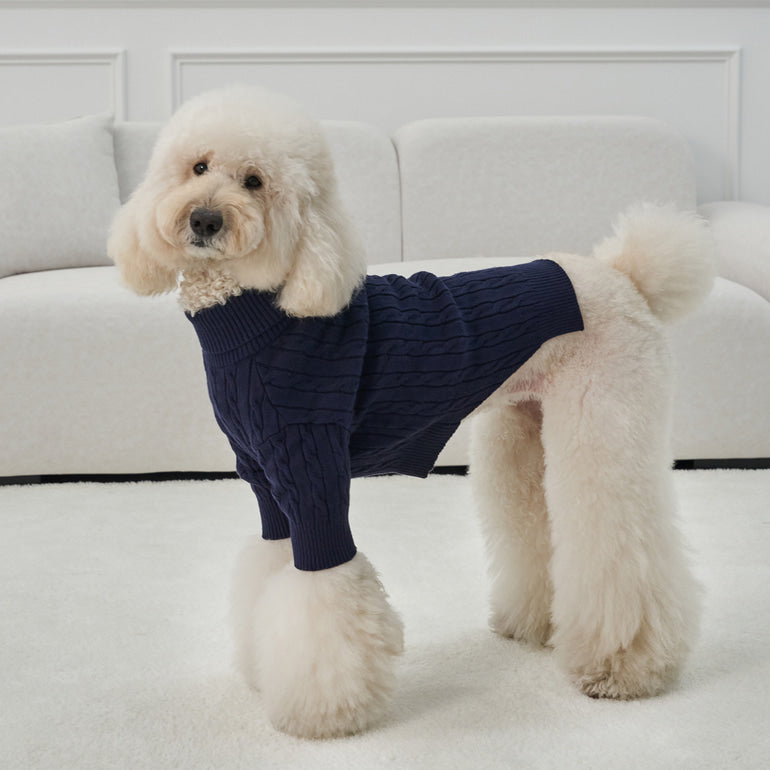 韓國新品上架【梨花娘】🐾BAILEY 🐶秋冬新品 小熊刺繡保暖舒適針織寵物毛衣(5色)