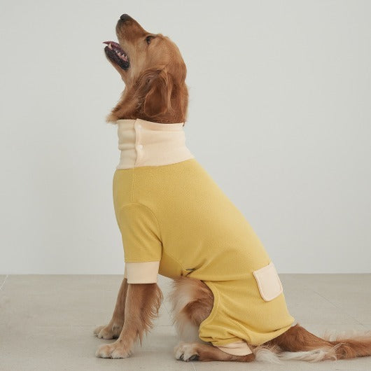 韓國新品上架【梨花娘】🐾BAILEY 🐶秋冬新品 領口釦環設計一件式保暖細絨毛衣(3色)