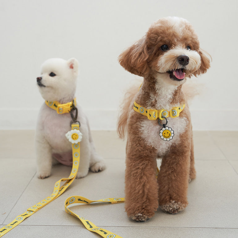 韓國新品上架【梨花娘】🐾BAILEY 🐶秋冬新品 飽合亮色花朵微笑寵物牽繩(4色)