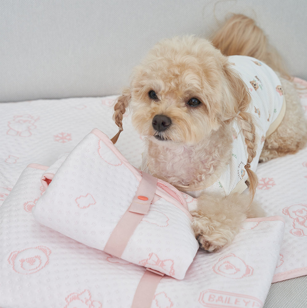 💕【梨花娘總代理】🐾韓國BAILEY ❄️夏日寵物極致降溫雪花泰迪熊圖案摺疊冰涼墊S~L(4色)