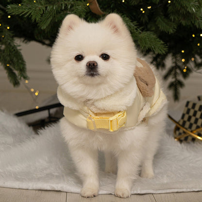 🔥新品上架【梨花娘】🐈‍⬛BAILEY 【梨花娘】泰迪熊口袋圖案防風鋪棉寵物服飾(4色) 聖誕禮物