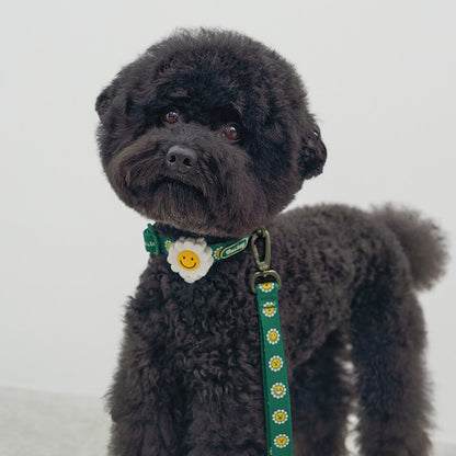 韓國新品上架【梨花娘】🐾BAILEY 🐶秋冬新品 飽合亮色花朵微笑簡易款寵物牽繩(4色)