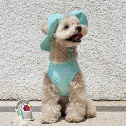 韓國BAILEY💖【梨花娘】夏日必備菌菌掰掰輕薄快乾透氣水陸兩用寵物衣(帽子可另購3色)