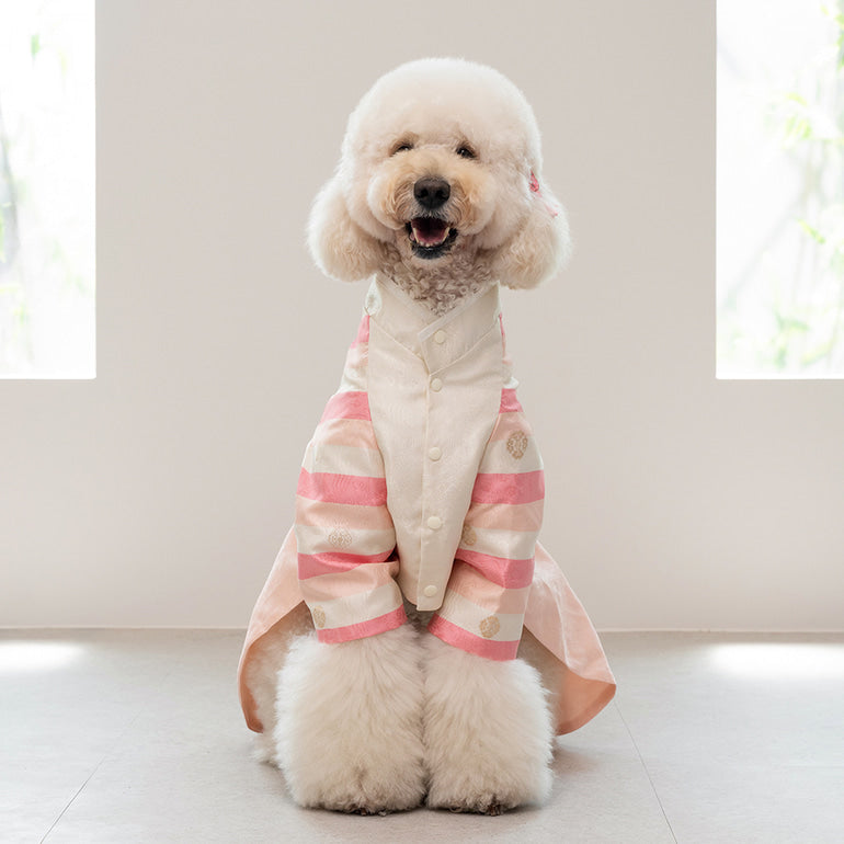 韓國新品上架【梨花娘】🐾BAILEY 🐶秋冬新品 皇室尊貴刺繡流蘇寵物韓服(4色)