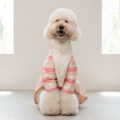 韓國新品上架【梨花娘】🐾BAILEY 🐶秋冬新品 皇室尊貴刺繡流蘇寵物韓服(4色)