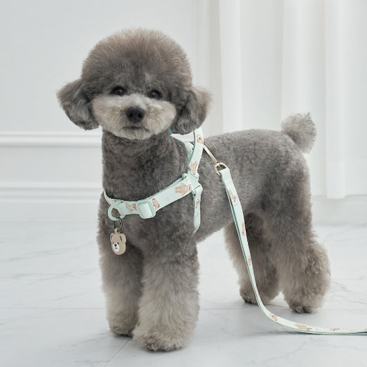 韓國新品上架【梨花娘】🐾BAILEY 🐶秋冬新品 馬卡龍柔軟色系小熊圖案寵物牽繩(3色)