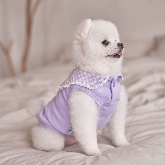 韓國新品上架【梨花娘】🐾BAILEY 🐶秋冬新品 韓系溫小公主格子領蕾絲邊刺繡寵物服飾(3色)