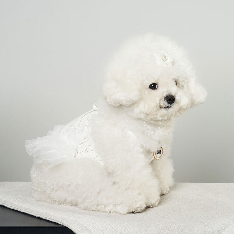 韓國新品上架【梨花娘】🐾BAILEY 🐶秋冬新品 針織拼接蕾絲氣質優雅花朵芭蕾舞裙寵物服飾(2色)