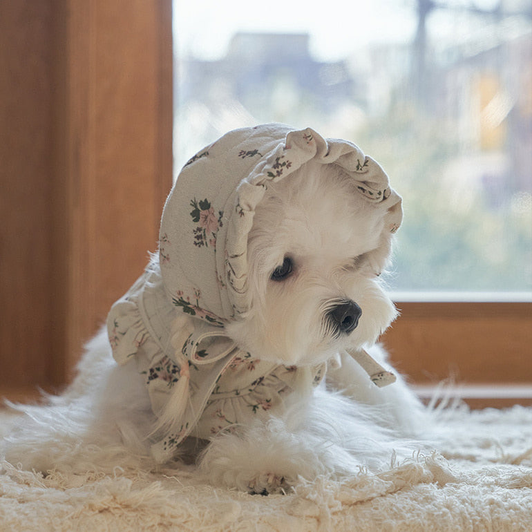 韓國新品上架【梨花娘】🐾BAILEY 🐶秋冬新品 可愛親膚法式花園浪漫小碎花寵物帽(2色)