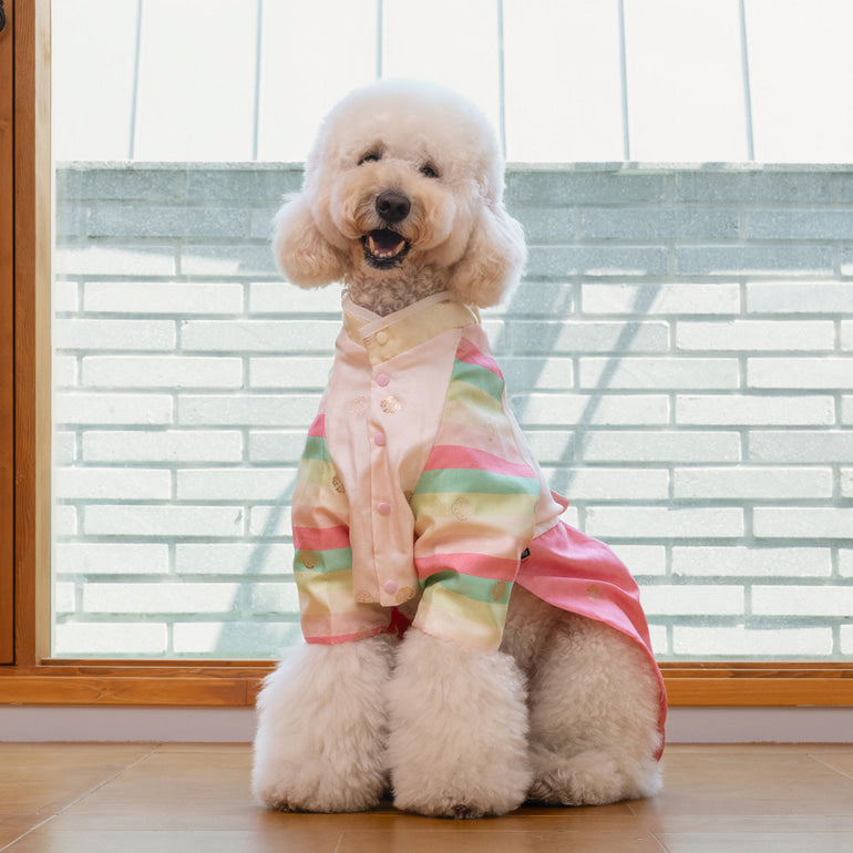 韓國新品上架【梨花娘】🐾BAILEY 🐶秋冬新品 皇室公主刺繡百褶裙寵物韓服(2色)