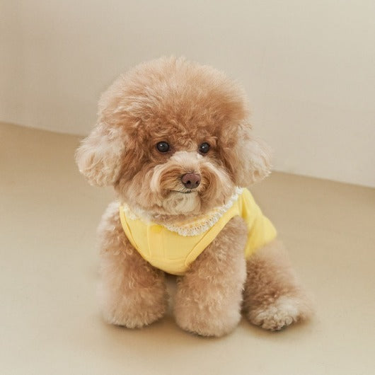 韓國新品上架【梨花娘】🐾BAILEY 🐶秋冬新品 韓系溫小公主格子領蕾絲邊刺繡寵物服飾(3色)