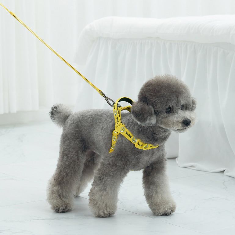 韓國新品上架【梨花娘】🐾BAILEY 🐶秋冬新品 飽合亮色花朵微笑寵物牽繩(4色)