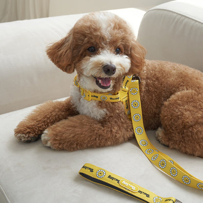 韓國新品上架【梨花娘】🐾BAILEY 🐶秋冬新品 飽合亮色花朵微笑寵物牽繩(4色)