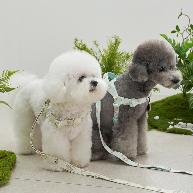 韓國新品上架【梨花娘】🐾BAILEY 🐶秋冬新品 馬卡龍柔軟色系小熊圖案寵物牽繩(3色)