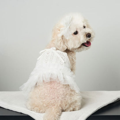 韓國新品上架【梨花娘】🐾BAILEY 🐶秋冬新品 針織拼接蕾絲氣質優雅花朵芭蕾舞裙寵物服飾(2色)