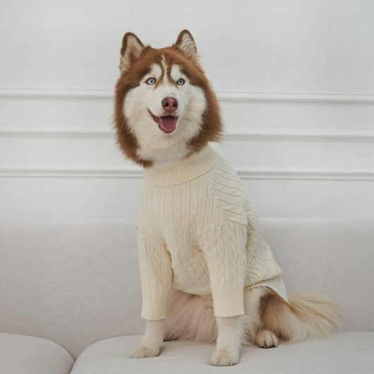 韓國新品上架【梨花娘】🐾BAILEY 🐶秋冬新品 小熊刺繡保暖舒適針織寵物毛衣(5色)