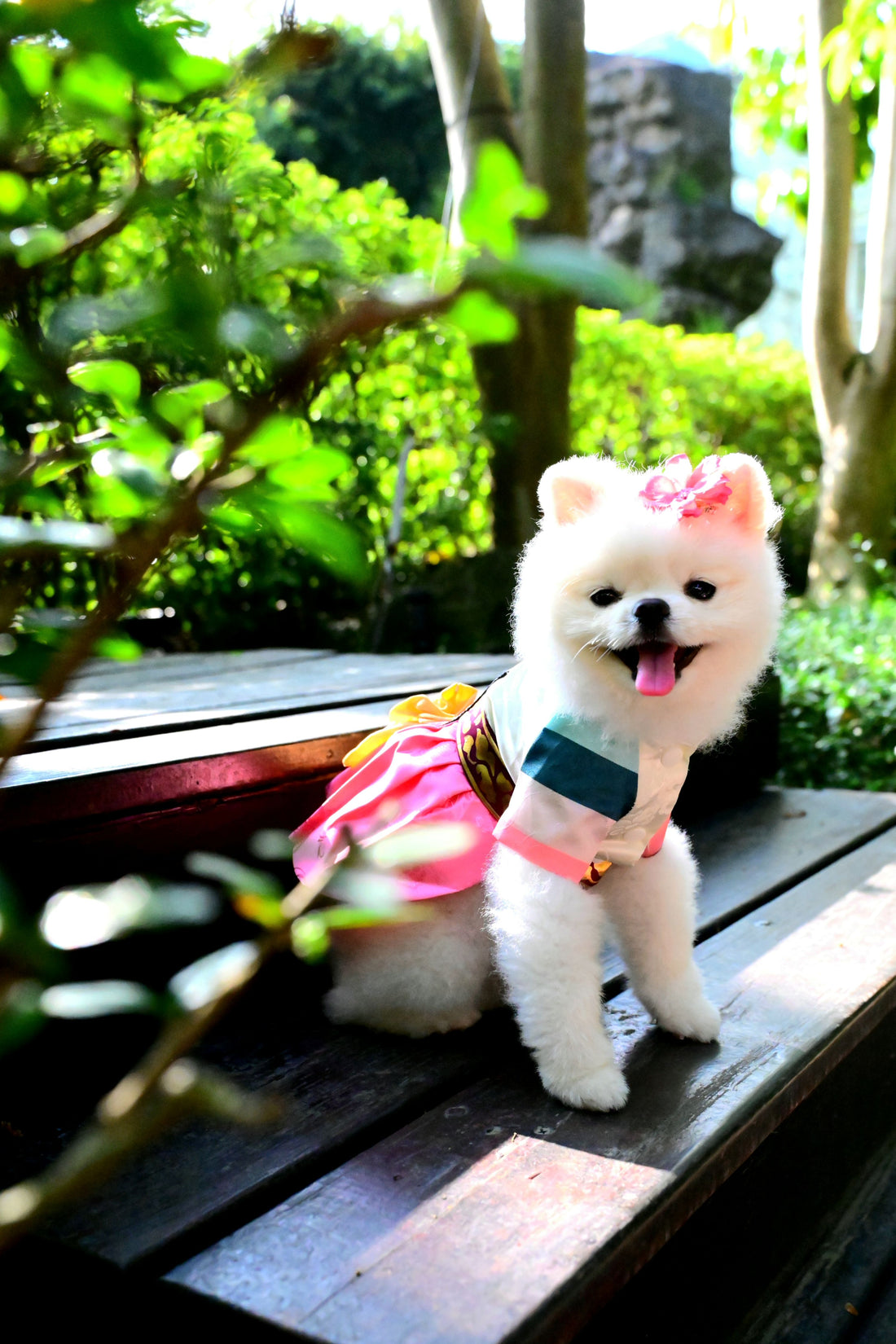 韓國BAILEY💖寵物品牌皇室韓服寵物刺繡衣服(現貨+預購)