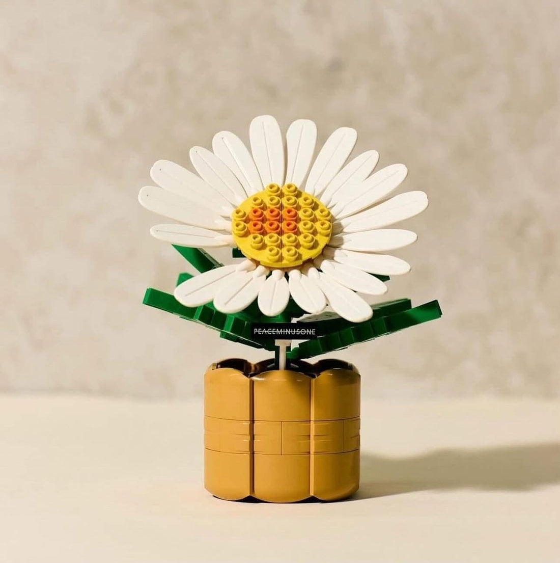 新品上架 【梨花娘】💖G-DRAGON × OXFORD BLOCK 818 BLOOM 聯名 限量雛菊樂高積木 權志龍 GD💖正版