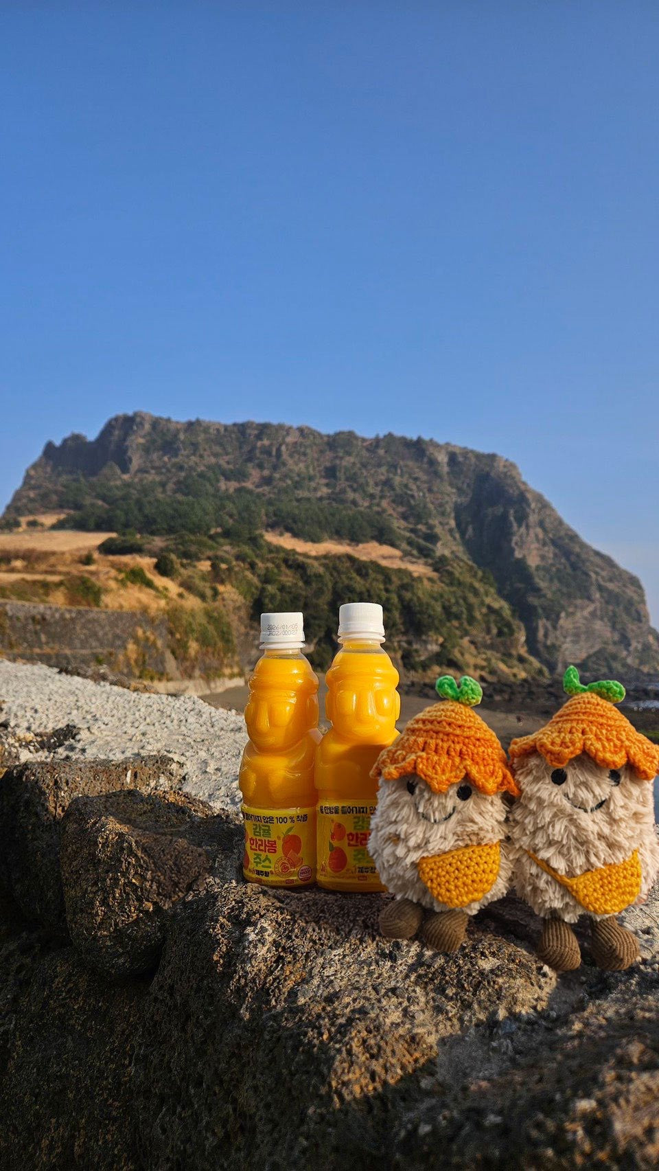 💜新品上架【梨花娘】🫧韓國🇰🇷濟州限定 苦盡柑來・好事花生吊飾💖💐(12月底~1月初到貨)