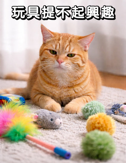 韓國🔥爆紅升級版【LIHUA MAYA】獨家販售 雙種貓薄荷巨型棉花棒｜100%羊毛手工製作 貓咪玩具