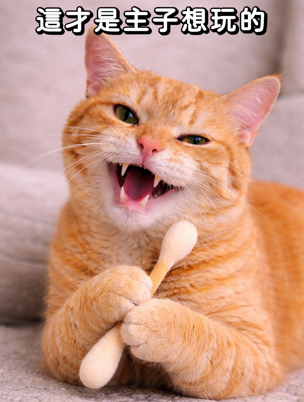 韓國🔥爆紅升級版【LIHUA MAYA】獨家販售 雙種貓薄荷巨型棉花棒｜100%羊毛手工製作 貓咪玩具