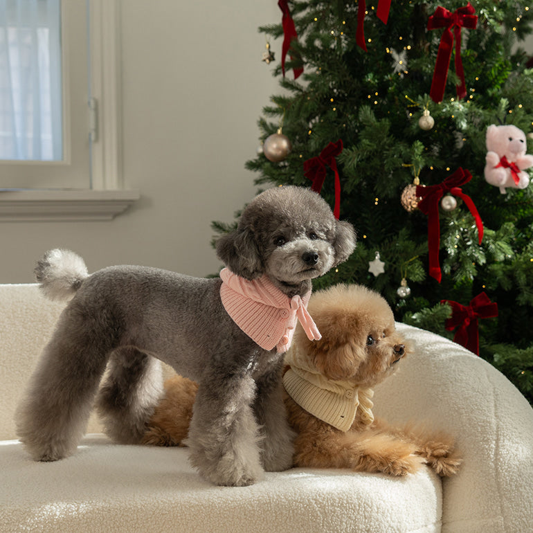 ✈️【梨花娘】韓國BAILEY❄️北歐暖嶼親密主人同款針織鈕釦寵物連帽圍脖(4色)