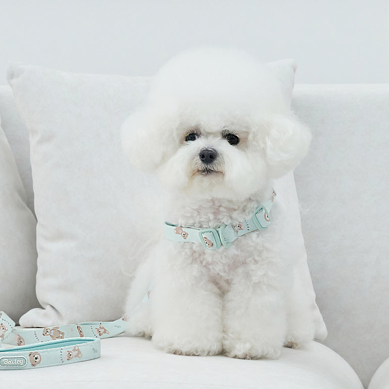 韓國新品上架【梨花娘】🐾BAILEY 🐶秋冬新品 馬卡龍柔軟色系小熊圖案寵物牽繩(3色)