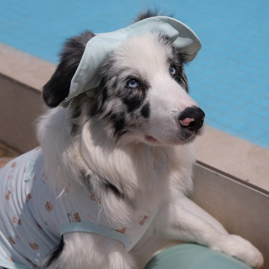 韓國新品上架【梨花娘】🐾BAILEY 🐶秋冬新品 可愛造型遮陽透氣滿版小熊可調節寵物帽(3色)