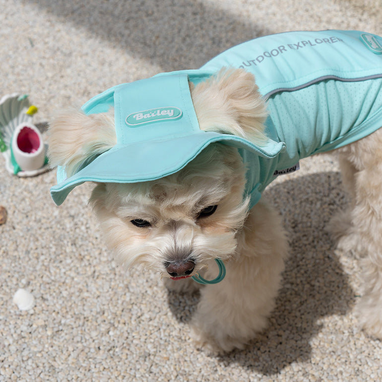 韓國BAILEY💖【梨花娘】夏日必備菌菌掰掰輕薄快乾透氣水陸兩用寵物衣(帽子可另購3色)