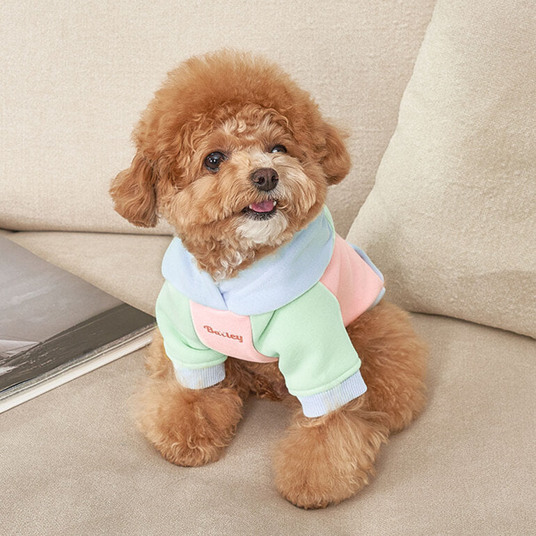 韓國新品上架【梨花娘】🐾BAILEY 🐶秋冬新品 繽紛馬卡龍拼接網球保暖親膚連帽寵物服飾