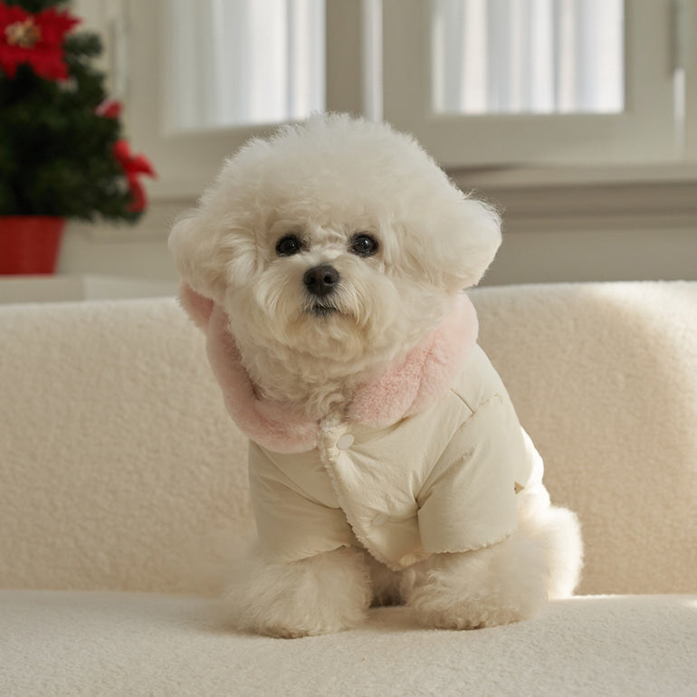 新品上架【梨花娘】🐾BAILEY 🐶秋冬新品 小熊連帽毛球防潑水鋪棉寵物外套(2色) 聖誕禮物