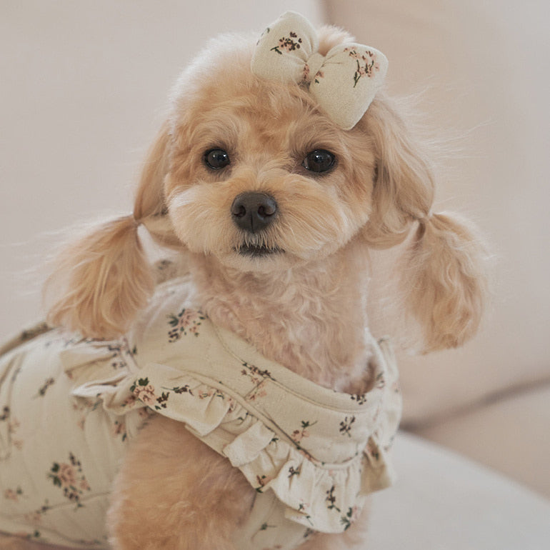 韓國新品上架【梨花娘】🐾BAILEY 🐶秋冬新品 親膚保暖純棉荷葉邊復古小碎花寵物服飾(2色)