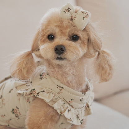 韓國新品上架【梨花娘】🐾BAILEY 🐶秋冬新品 親膚保暖純棉荷葉邊復古小碎花寵物服飾(2色)