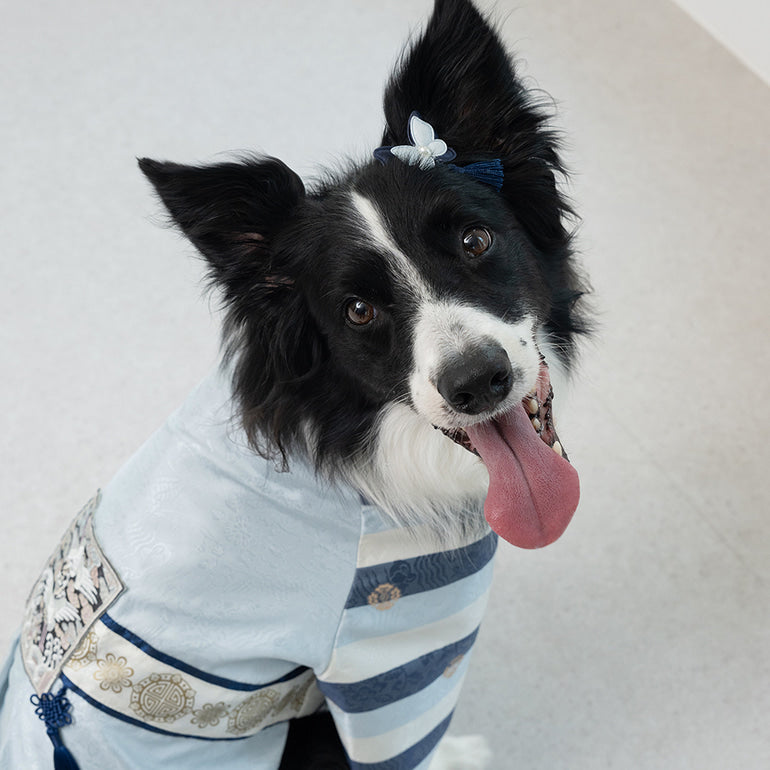 韓國新品上架【梨花娘】🐾BAILEY 🐶高質感韓服頭飾流蘇古典手工寵物髮夾(7色)