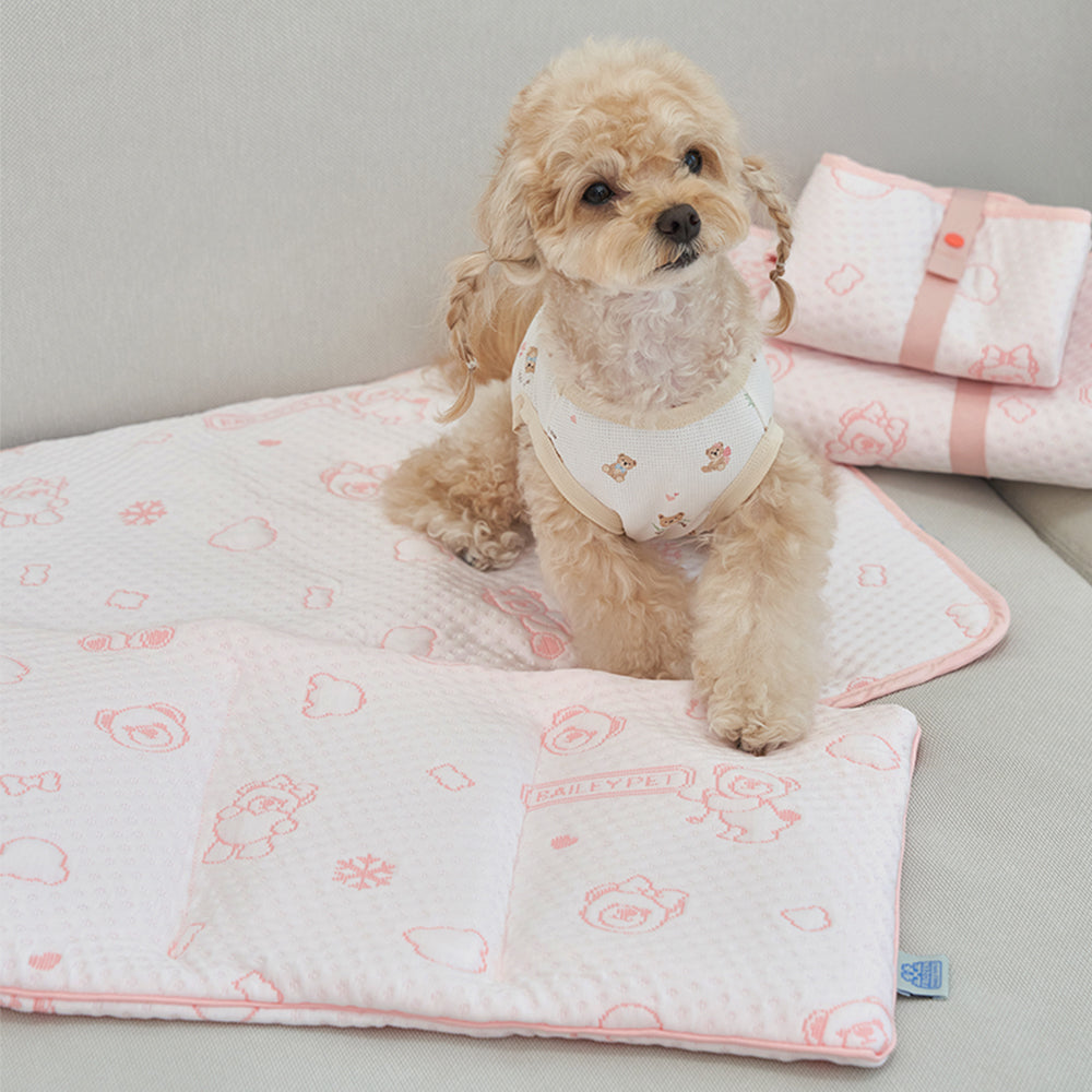 💕【梨花娘總代理】🐾韓國BAILEY ❄️夏日寵物極致降溫冰涼雪花泰迪熊圖案附冰涼袋收納墊(4色)