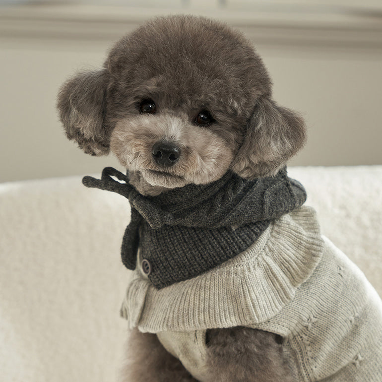 ✈️【梨花娘】韓國BAILEY❄️北歐暖嶼親密主人同款針織鈕釦寵物連帽圍脖(4色)